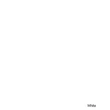Kép 1/2 - SPC falpanel Tokioi fehér 270x60x0,4 cm Kép 1/2 - SPC falpanel Tokioi fehér 270x60x0,4 cm