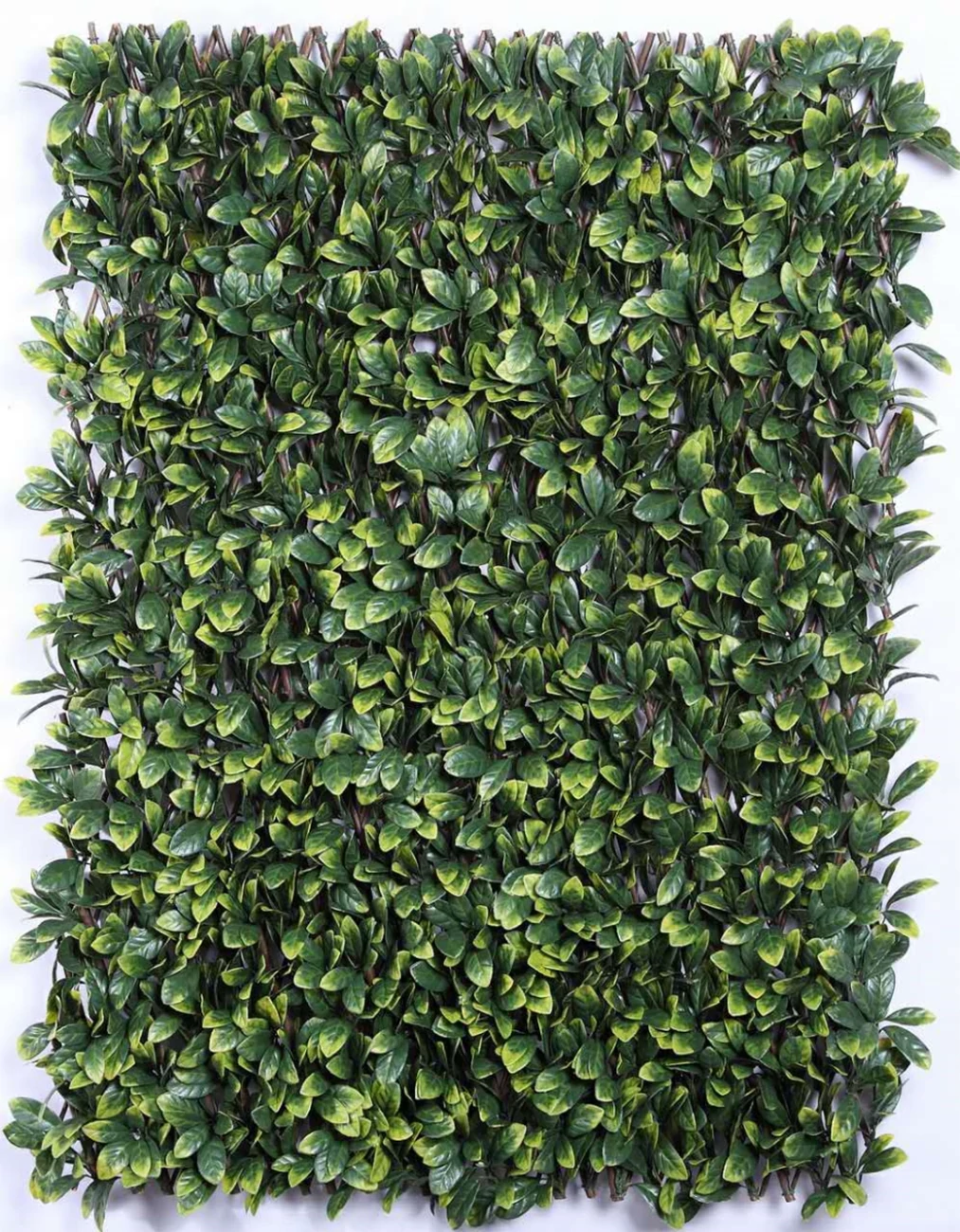 Realisztikus futónövény kerítés MZ186006A